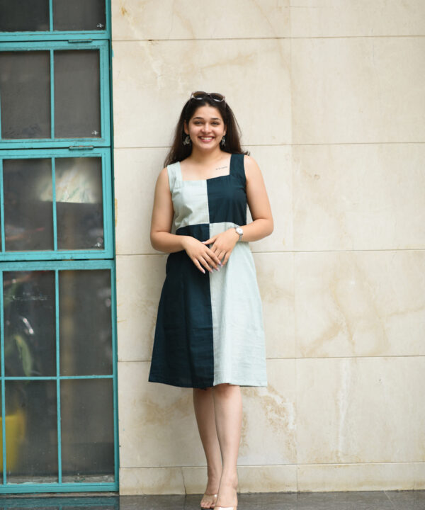 DSC_1591 - Ila Mirashi