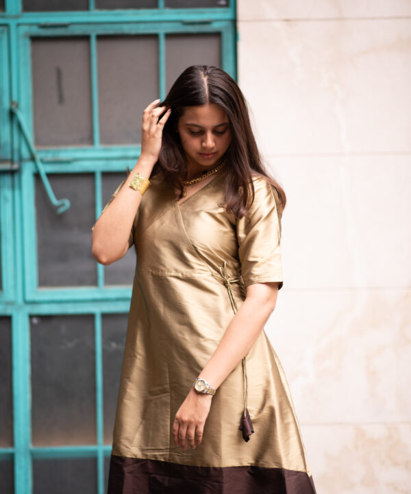 DSC_3511 2 - Ila Mirashi DSC_3511 2 - Ila Mirashi